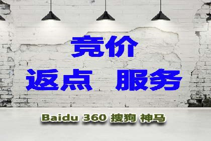 百度竞价推广在电商领域的赚钱案例